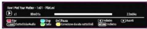 SCHAUB LORENZ 26LT30 - Visualizzazione di video tramite USB - 2