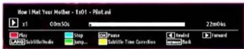 SCHAUB LORENZ 26LT30 - Media Playback Using Media Browser - 3