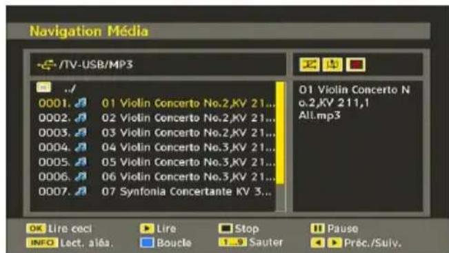 MANHATTAN MT2211DVX12 - Lecture de fichiers MP3 - 1