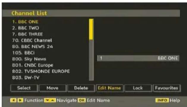 MANHATTAN MT2211DVX12 - Renaming Channels - 1