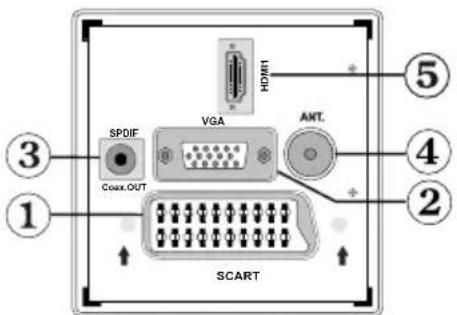 MANHATTAN MT2211DVX12 - Viewing the Connections-Back Connectors - 1