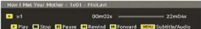 MANHATTAN MT2211DVX12 - Video Playback - 1