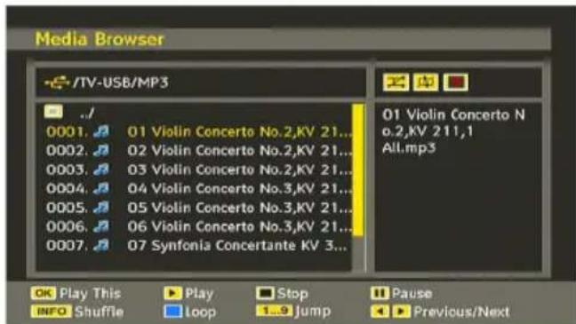 MANHATTAN MT2211DVX12 - Playing MP3 Files - 1