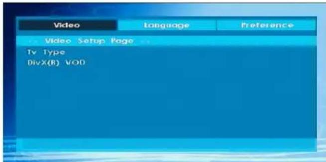 MANHATTAN MT2211DVX12 - Video Setup Page - 1