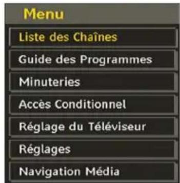MANHATTAN MT2211DVX12 - Système de menu IDTV - 1