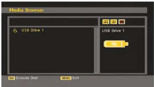 MANHATTAN MT2211DVX12 - Media Browser - 2
