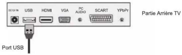 Sunstech TLEXI1663HD - Connexion USB - 1