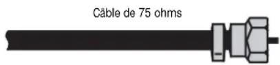 Dynex DXLCD32 - Connexion d'une antennae externe - 1