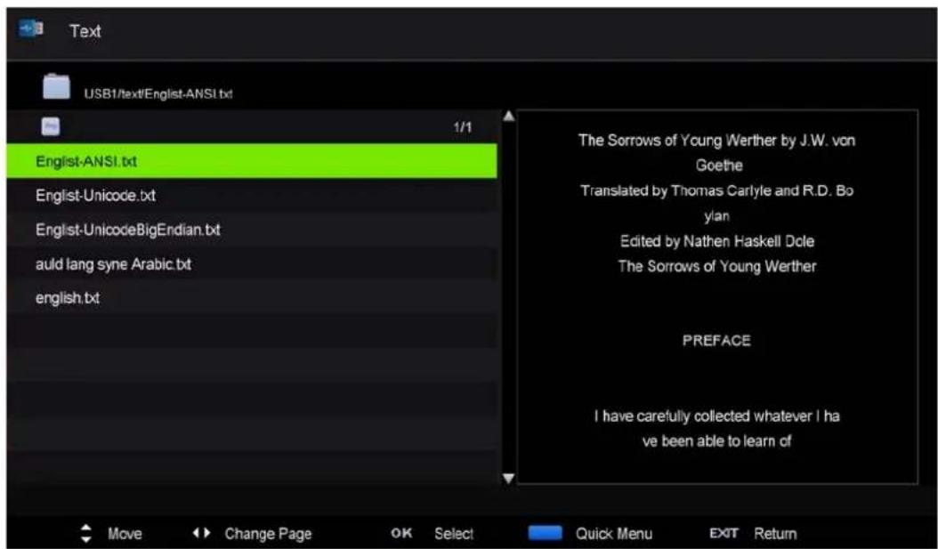 i-Joy LED 39 - Text - 1