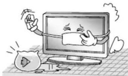 CHANGHONG LED40E1090H - WICHTIGE SICHERHEITSHINWEISE - 2