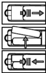 CHANGHONG LED40E1090H - Sostituzione delle batterie - 1