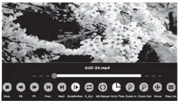 WESTINGHOUSE WD60MB2240 - ■ Viendo MJPEG - 4