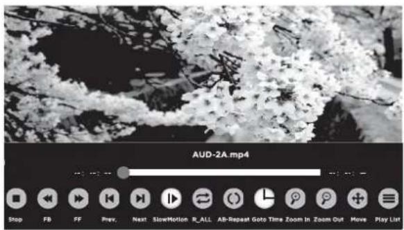 WESTINGHOUSE WD60MB2240 - ■ Viewing MJPEG - 4