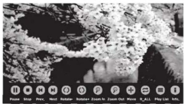 WESTINGHOUSE WD32FC2240 - Viendo JPEG - 4