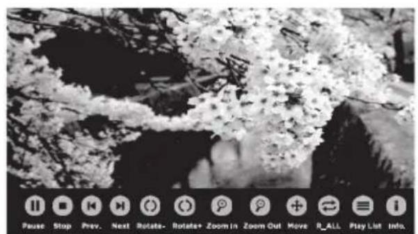 WESTINGHOUSE WD32FC2240 - Visionnement de photos - 4