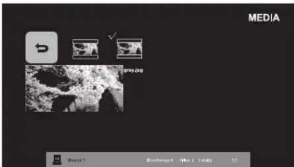 WESTINGHOUSE WD32FC2240 - Viewing JPEG - 3