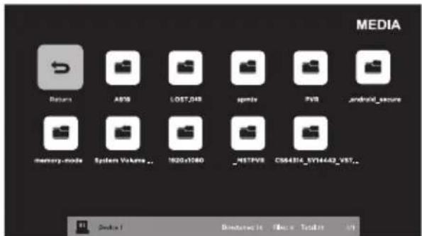 WESTINGHOUSE WD32FC2240 - Viewing JPEG - 2