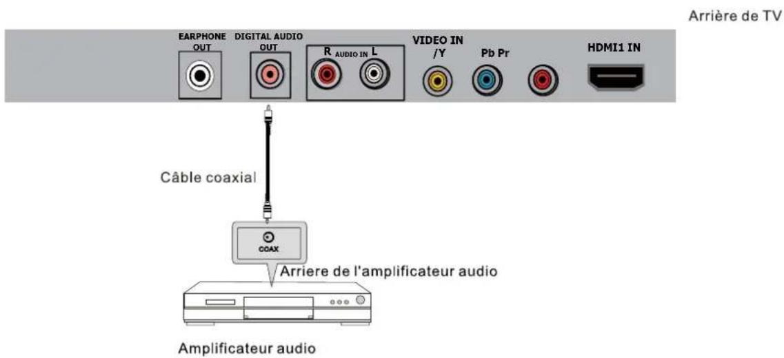 WESTINGHOUSE DWM40F1D1 - Connexion COAX - 1