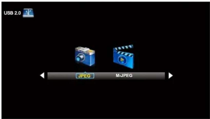 WESTINGHOUSE DWM48F1A1 - JPEG Menu - 1
