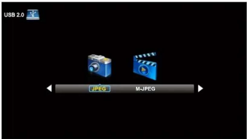 WESTINGHOUSE DWM48F1A1 - JPEG Menu - 1