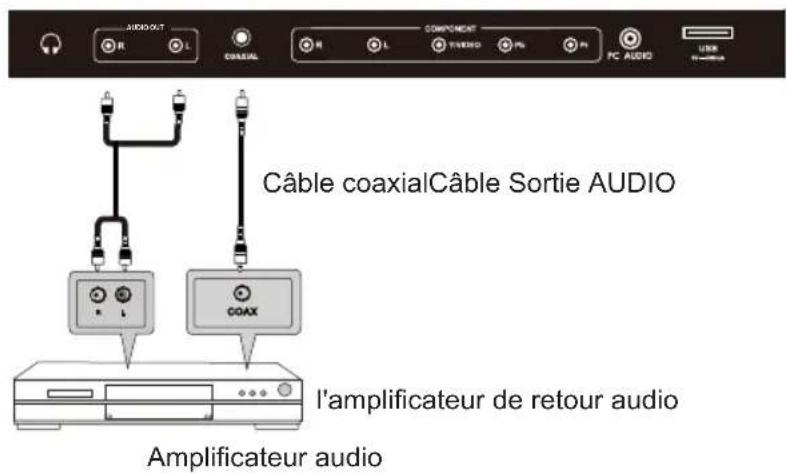 WESTINGHOUSE DWM48F1A1 - Connexion coaxiale &amp; Sortie AUDIO - 1