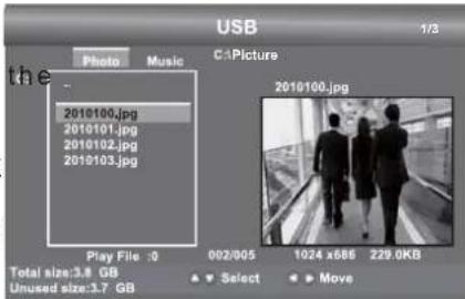 Seiki SE43FK - Viewing Photos - 1