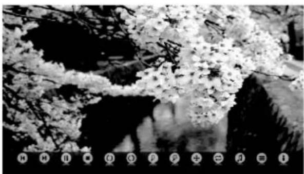 Seiki SE40FYP1T - Ver imágenes - 4