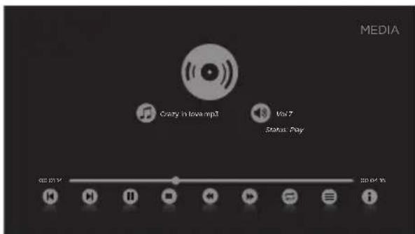 Seiki SE40FYP1T - ■ Listening to Music - 4