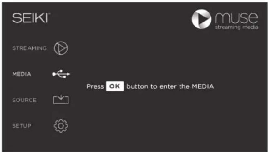 Seiki SE40FYP1T - MÉDIA - 1