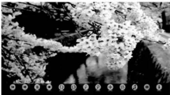 Seiki SE40FYP1T - Viewing Photos - 4