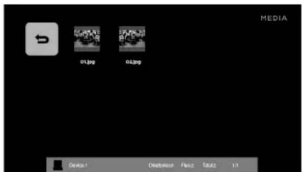 Seiki SE40FYP1T - Ver imágenes - 3