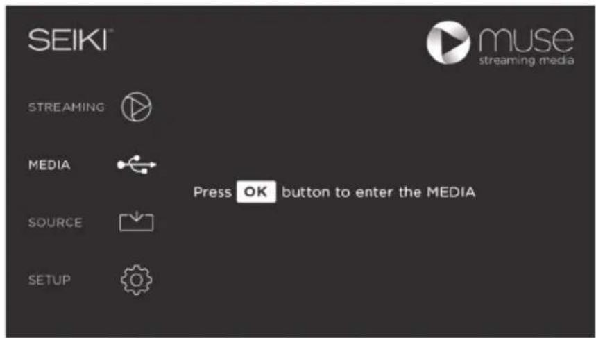 Seiki SE40FYP1T - MEDIA - 1