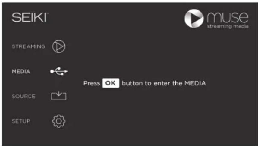 Seiki SE40FYP1T - MEDIA - 1