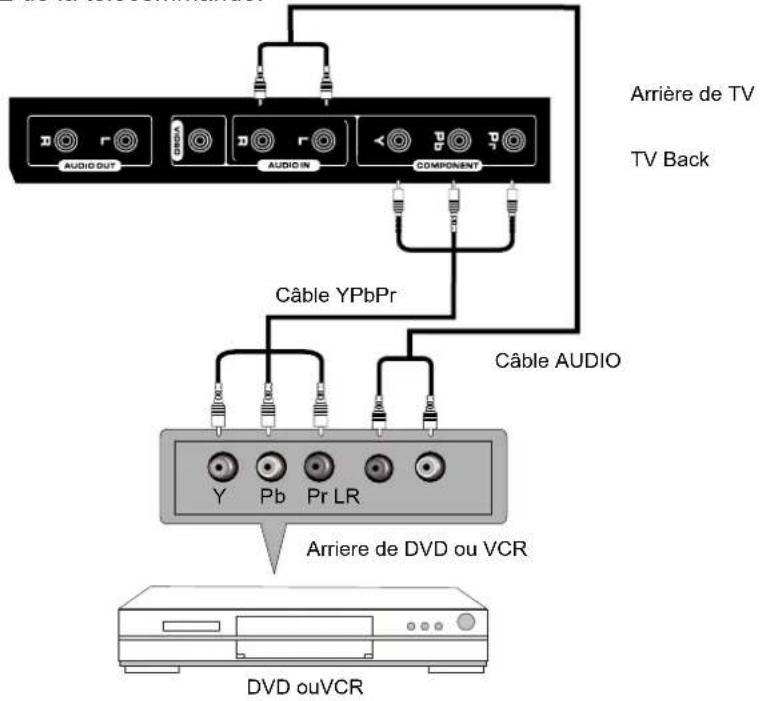 Seiki SE321FB - Connexion YPbPr(Composant) - 1