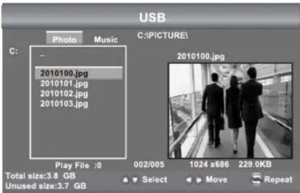 Seiki SE42UM - Viewing Pictures - 1