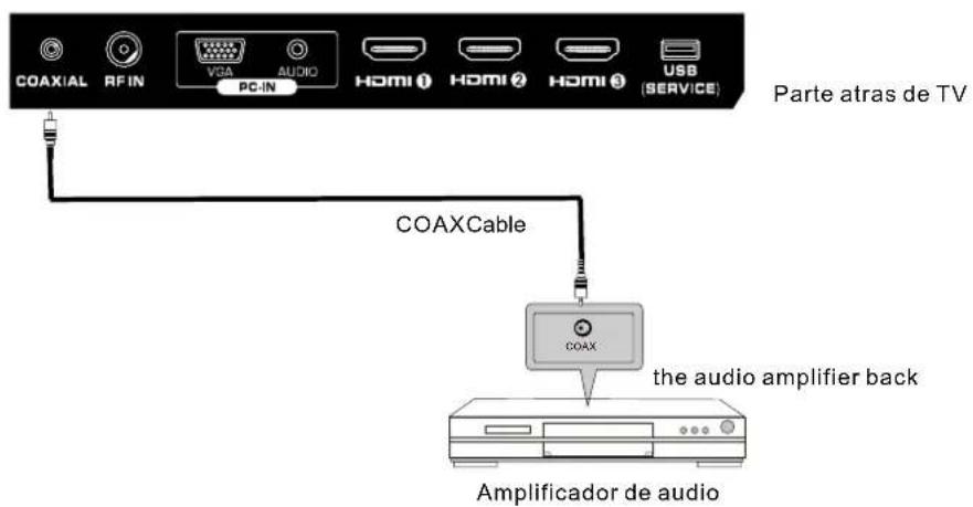 Seiki SE421TT - CONEXIÓNCOAX - 1