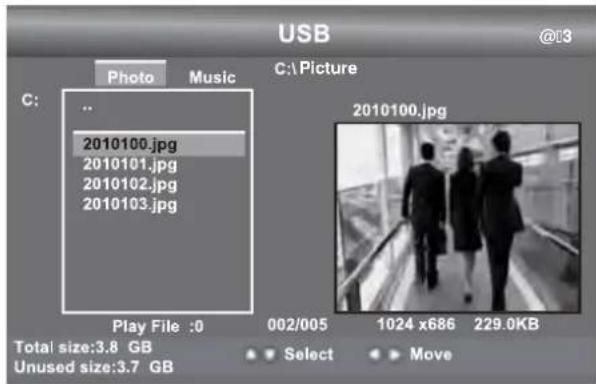 Seiki SE24FL - Ver imágenes - 1