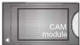 OCEANIC OCEALED320316W3 - Mon bouton 1 / 2 (\*) - 30