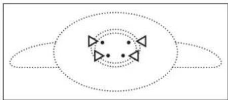 Alden 18.5inch - Classification (Rating) - 3