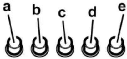 TURBOAIR Sicilia - Model z 5-klawiszowym pulpitem - 1