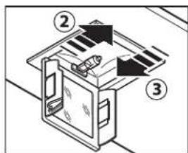 FALMEC West - SPOTLIGHT - 2