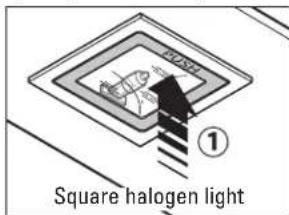FALMEC West - SPOT - 1