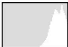 SILVERCREST DS1220T - Histogram - 3