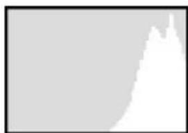 SILVERCREST DS1220T - Histogramme - 3