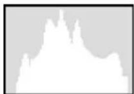 SILVERCREST DS1220T - Histogramme - 2