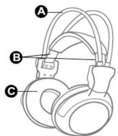 MUSE M250 - ACCESSIONS FOURNIS - 1
