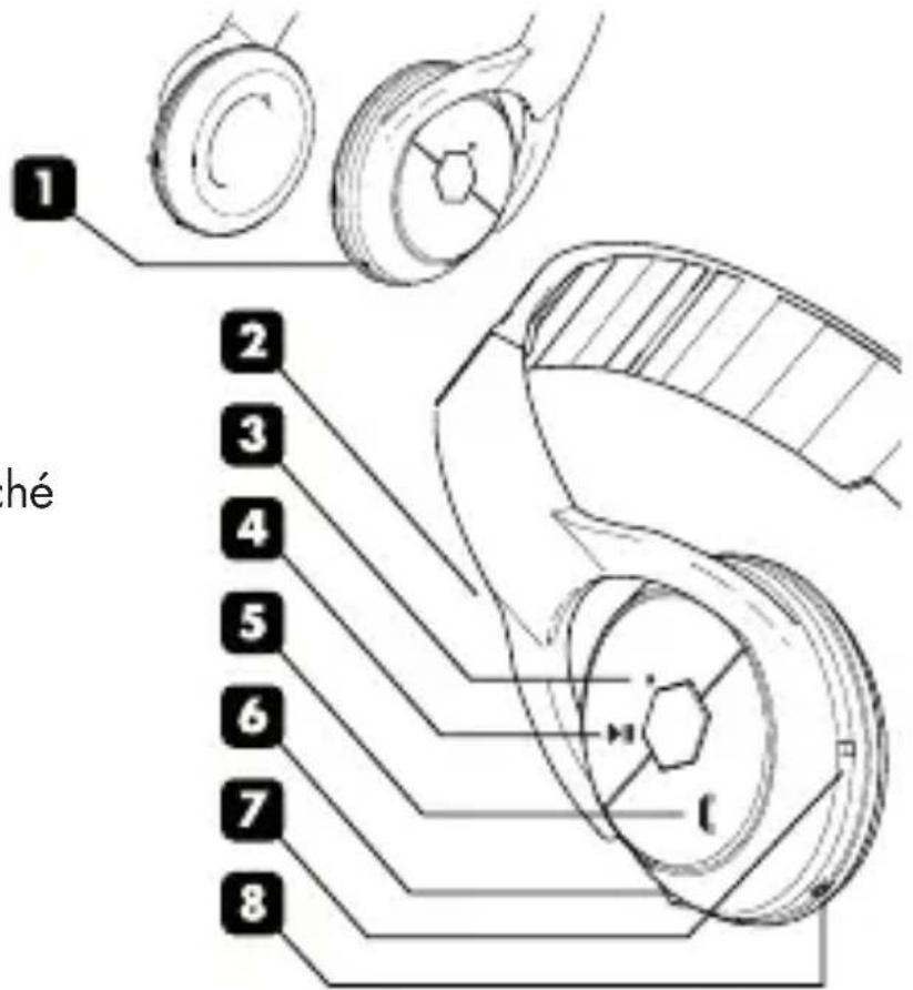BEEWI BBH101 - INTRODUCTION - 1