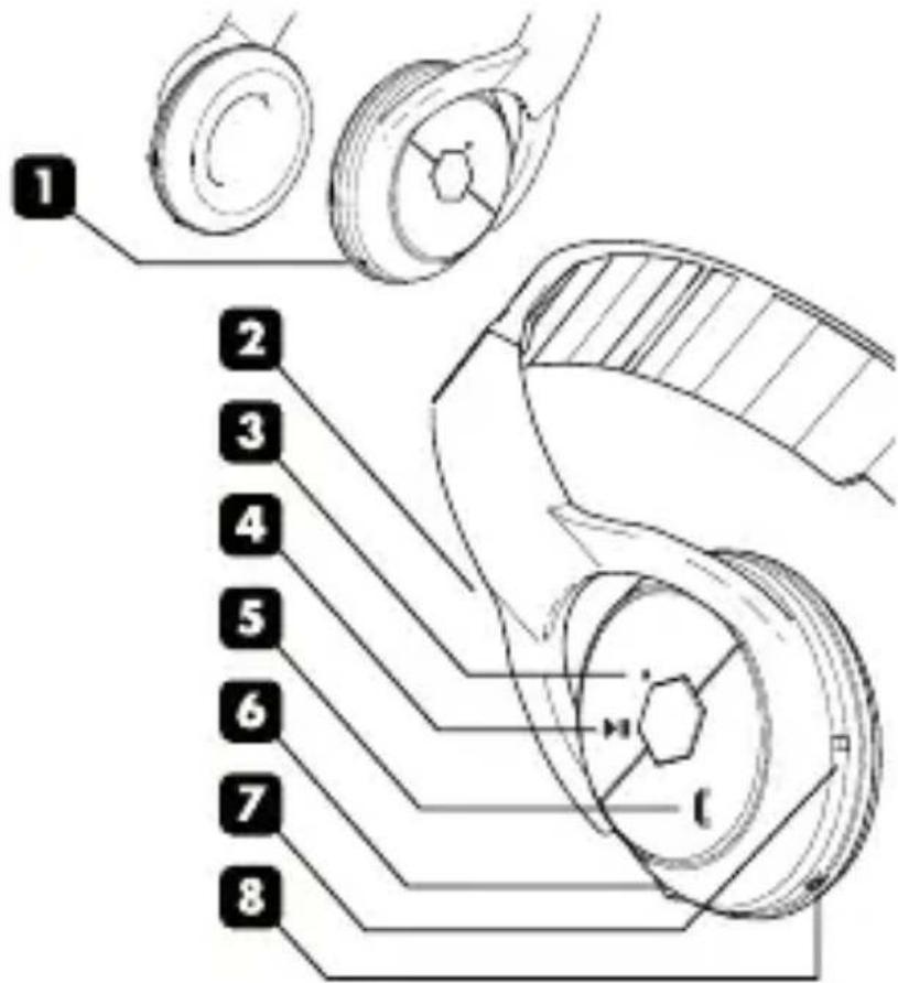 BEEWI BBH101 - INTRODUÇÃO - 1