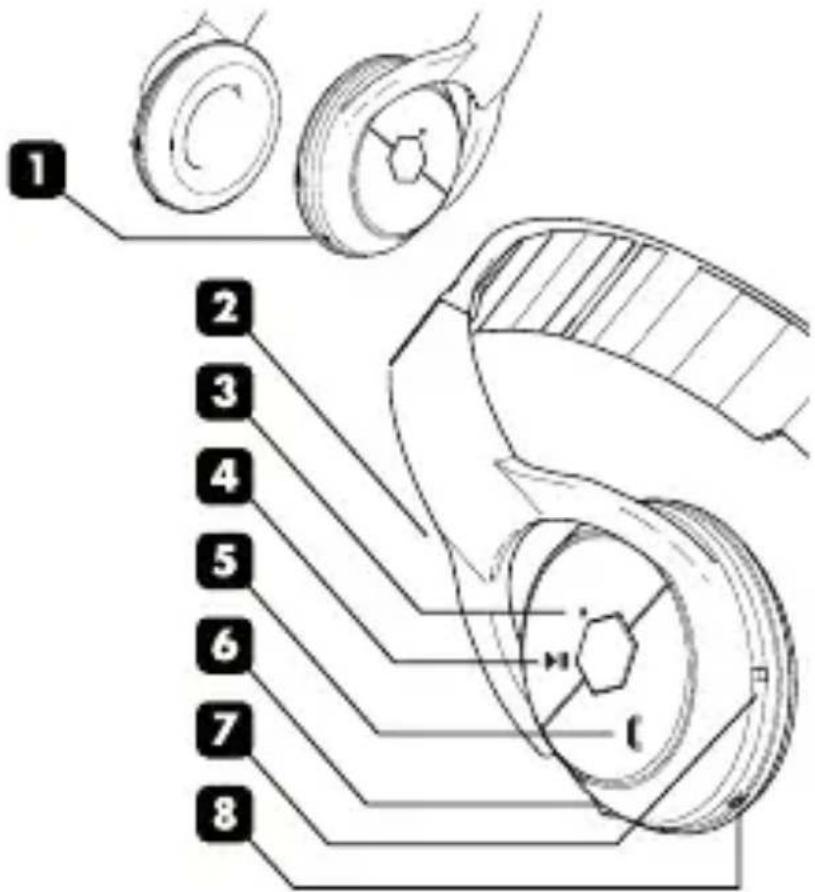 BEEWI BBH101 - EINLEITUNG - 1