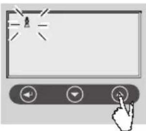 SOEHNLE Volga - BbOД daHHbIX - 5